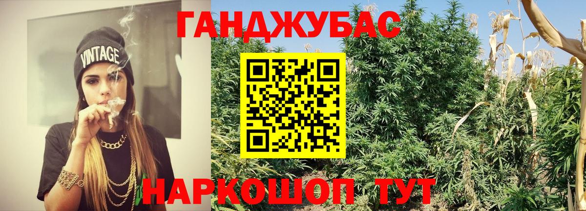 Шишки марихуана план  Бошки марихуана White Widow  Вход с VPN  Берёзовский  Конопля Ganja  Шишки марихуана Amnesia 